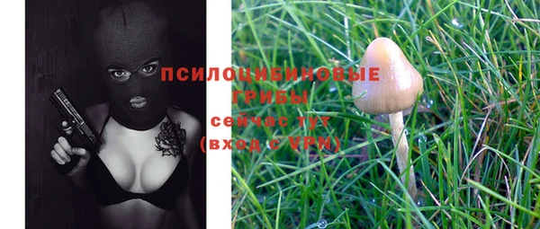 прущий лед Абаза