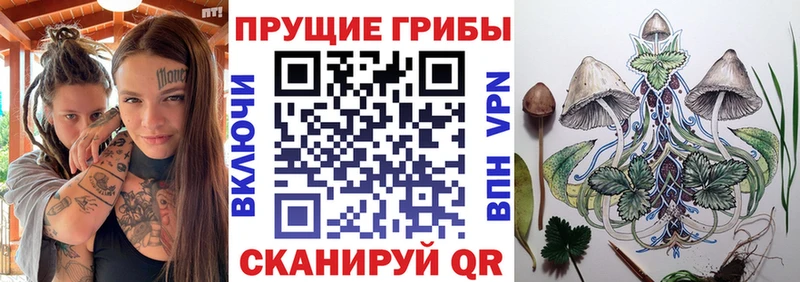 наркошоп даркнет официальный сайт Галлюциногенные грибы Psilocybine cubensis Старая Русса